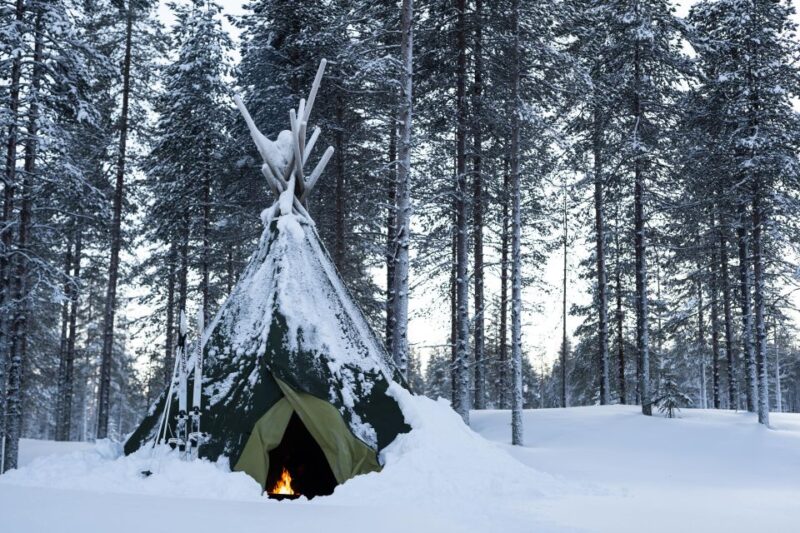 Rovaniemi: Small-group Ski Trek to the Wilderness - Group Size and Pricing