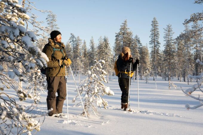 Rovaniemi: Small-group Ski Trek to the Wilderness - Sum Up
