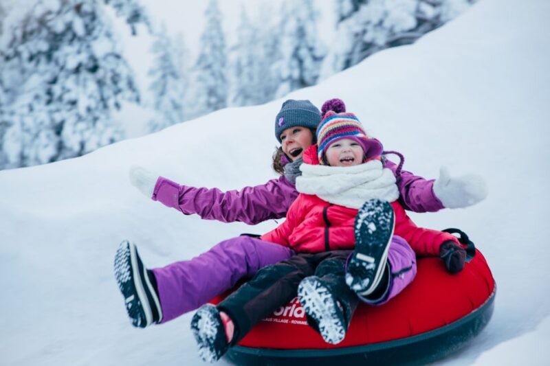 Rovaniemi: Snow Restaurant Dinner Tour - Dinner Menu Highlights