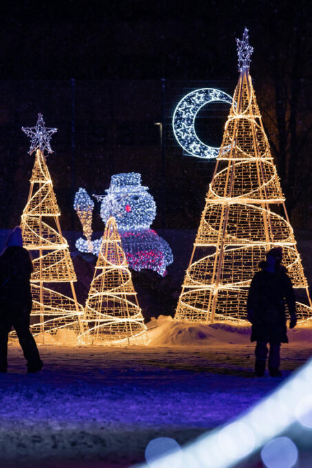 Rovaniemi: SnowGlow Winterpark Entry Ticket - Arrival and Departure Details