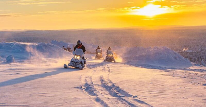 Rovaniemi: Snowmobile Adventure in Lapland - Tour Overview