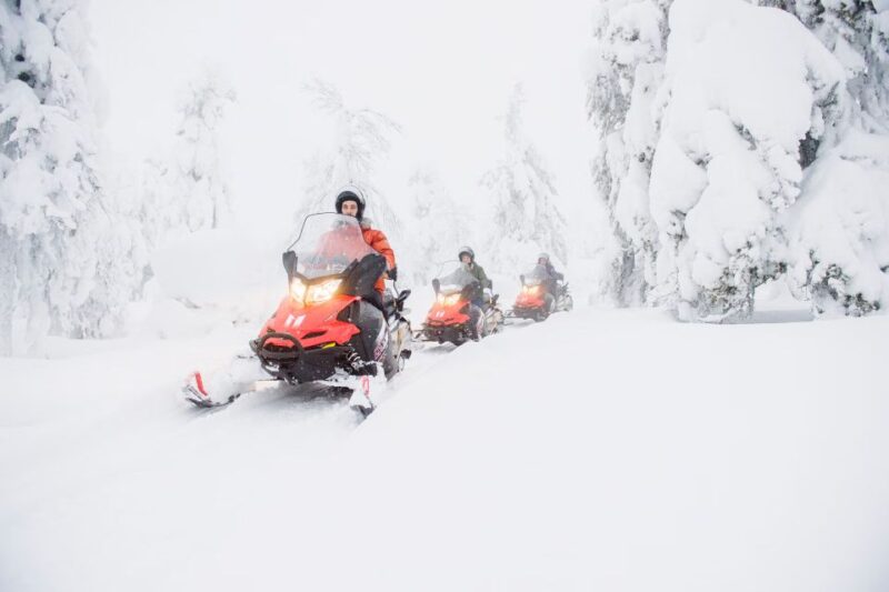 Rovaniemi: Snowmobile Adventure in Lapland - Highlights of the Experience