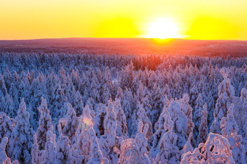 Rovaniemi: Snowmobile Adventure in Lapland - Pickup and Location