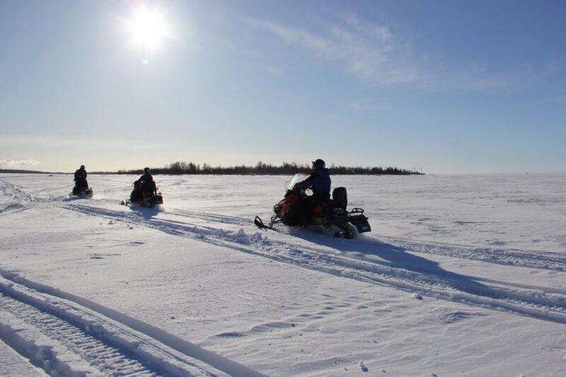 Rovaniemi: Snowmobile Adventure in Lapland - Safety Considerations
