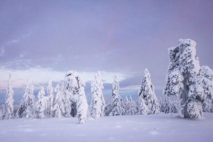 Rovaniemi: Snowmobile Adventure in Lapland - Frequently Asked Questions