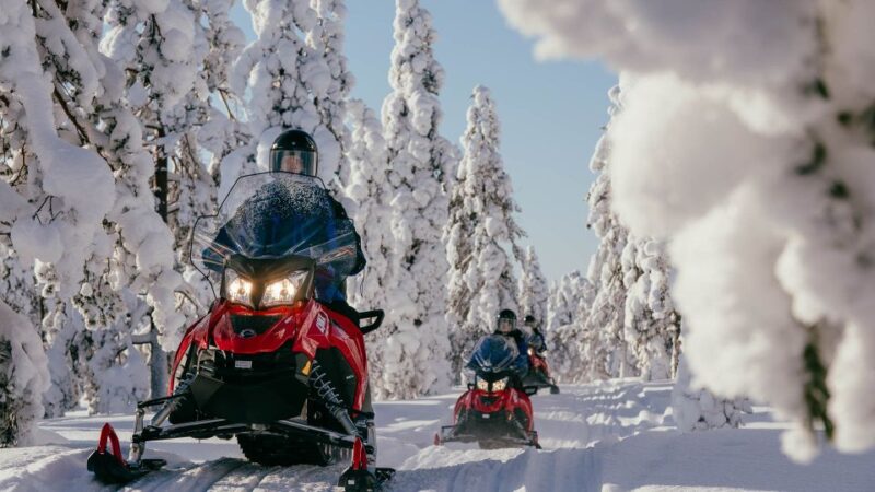 Rovaniemi: Snowmobile Adventure Tour for Adults Only - Tour Overview