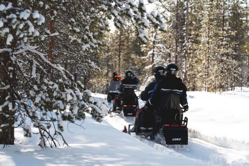 Rovaniemi: Snowmobile Adventure Tour for Adults Only - Experience Highlights