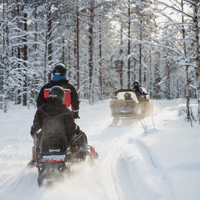 Rovaniemi: Snowmobile Safari in the Arctic Circle - Inclusions and Requirements