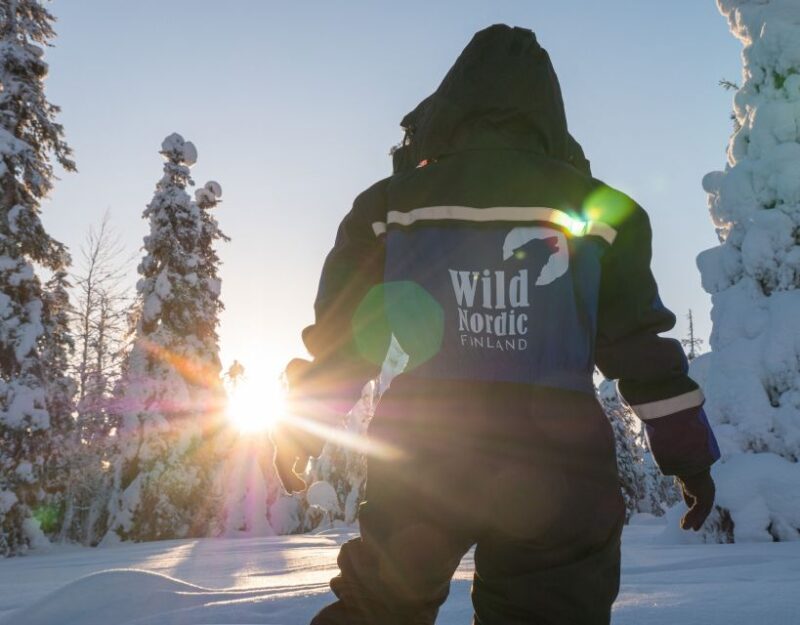 Rovaniemi: Snowmobile Safari Into the Arctic Circle Forest - Activity Overview
