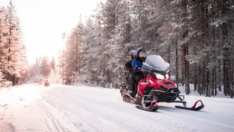 Rovaniemi: Snowmobile Safari Into the Arctic Circle Forest - Participant Requirements