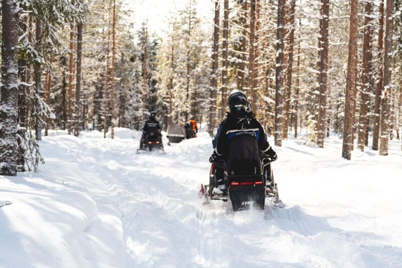 Rovaniemi: Snowmobile Safari Into the Arctic Circle Forest - Pickup Locations and Timing