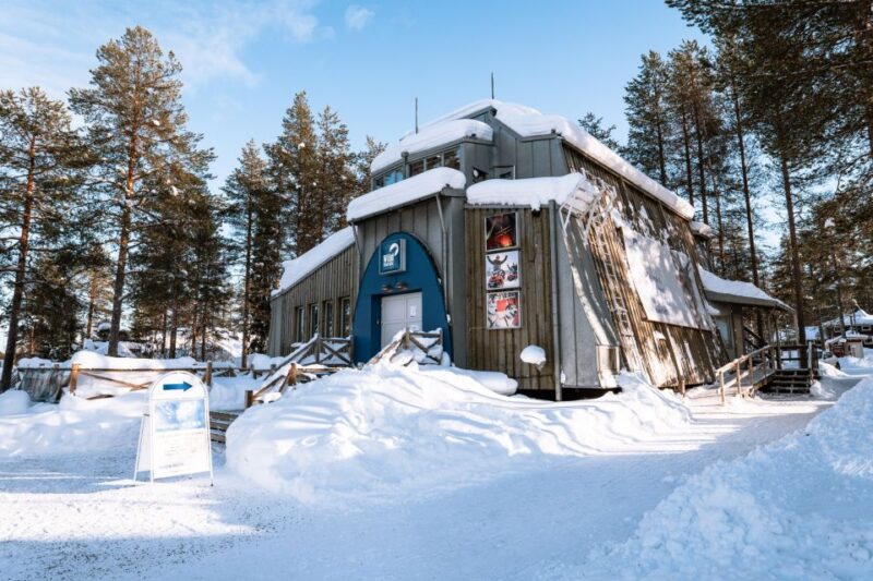 Rovaniemi: Snowmobile Safari Into the Arctic Circle Forest - Safety Precautions