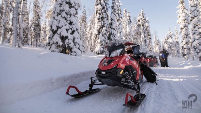 Rovaniemi: Snowmobile Safari Into the Arctic Circle Forest - Frequently Asked Questions