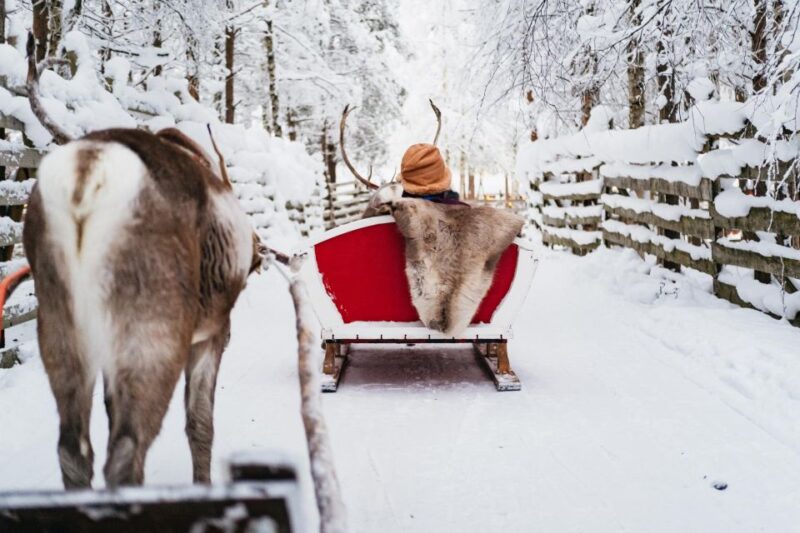 Rovaniemi: Snowmobile Safari, Reindeer & Husky Sleigh Ride - Activity Overview