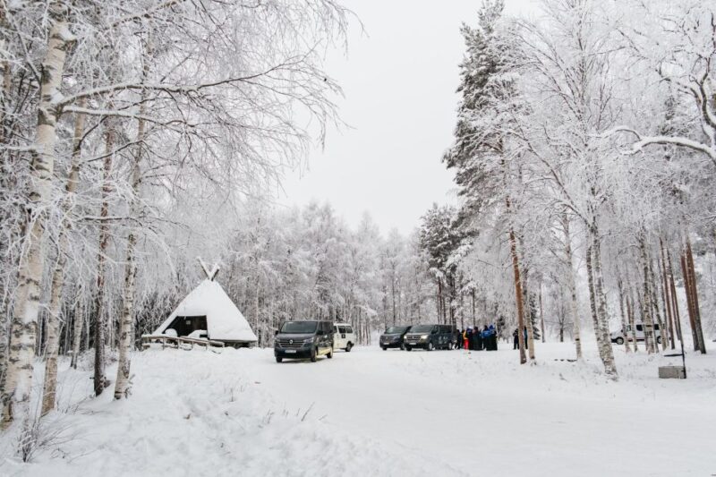 Rovaniemi: Snowmobile Safari, Reindeer & Husky Sleigh Ride - Customer Feedback