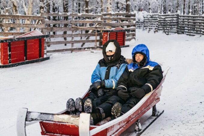 Rovaniemi: Snowmobile Safari, Reindeer & Husky Sleigh Ride - Husky Sleigh Ride Delight