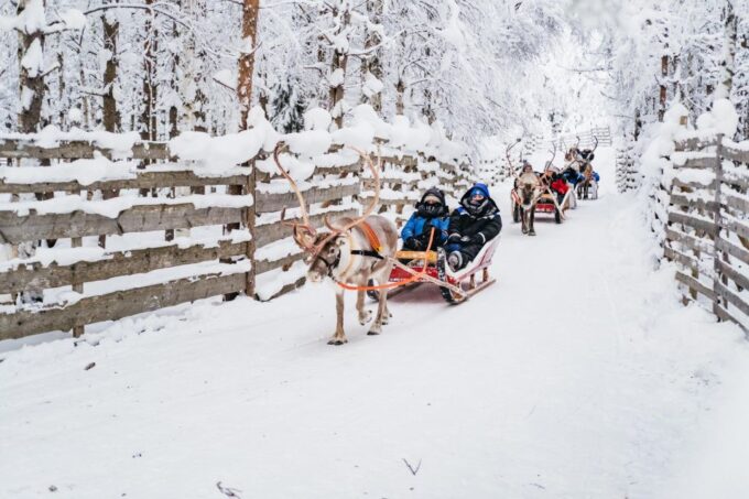 Rovaniemi: Snowmobile Safari, Reindeer & Husky Sleigh Ride - Sum Up