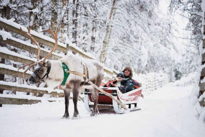 Rovaniemi: Snowmobile Tour and Reindeer Farm Experience - Sum Up