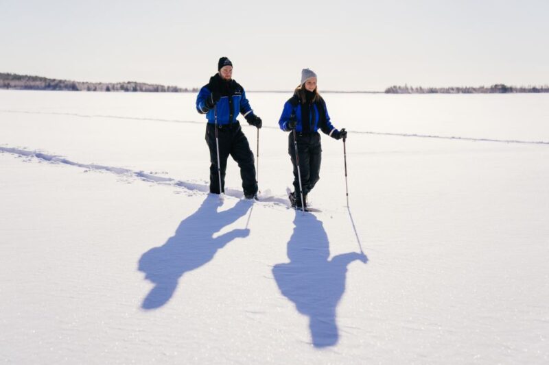 Rovaniemi: Snowshoe Walk to The Arctic Nature - Activity Overview and Pricing