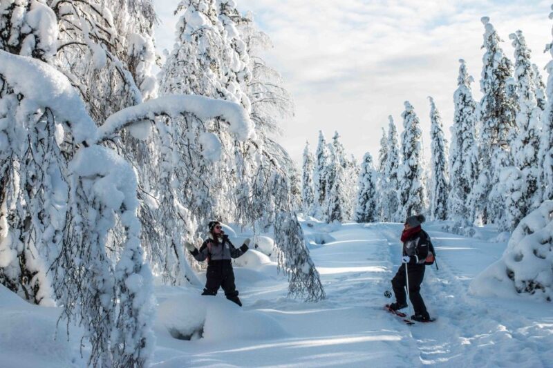 Rovaniemi: Snowshoe Wilderness Adventure - Experience Overview