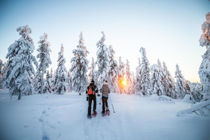 Rovaniemi: Snowshoe Wilderness Adventure - Booking and Cancellation Policy
