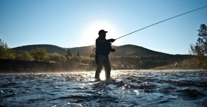 Rovaniemi: Summer Fishing Tour in Arctic Nature & BBQ - Good To Know