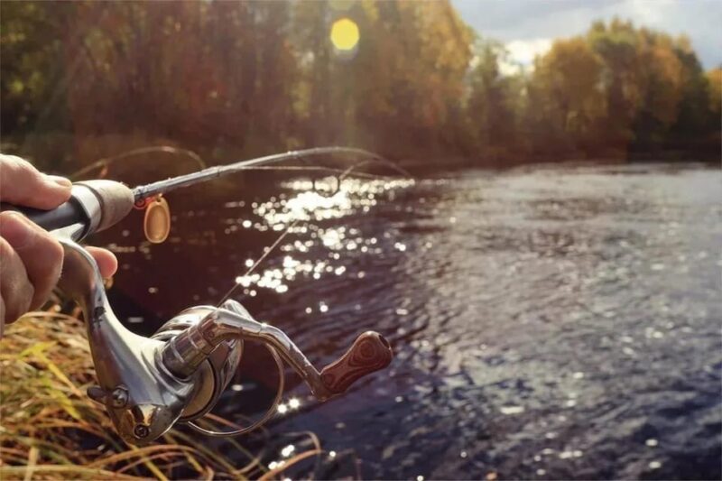 Rovaniemi: Summer Fishing Tour in Arctic Nature & BBQ - Fishing Highlights
