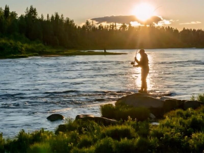 Rovaniemi: Summer Fishing Tour in Arctic Nature & BBQ - Booking Flexibility