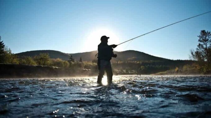 Rovaniemi: Summer Fishing Tour in Arctic Nature & BBQ - Customer Testimonials