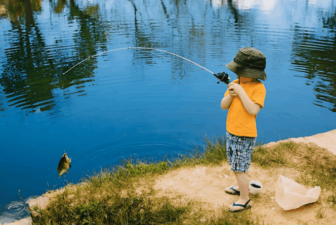 Rovaniemi: Summer Fishing Tour in Arctic Nature & BBQ - Frequently Asked Questions