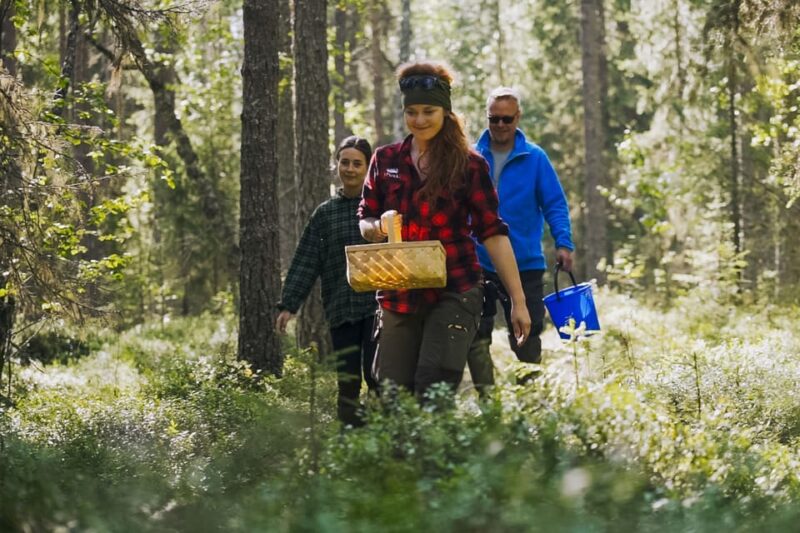 Rovaniemi : Trekking in the Heart of Nature - Inclusions and Requirements