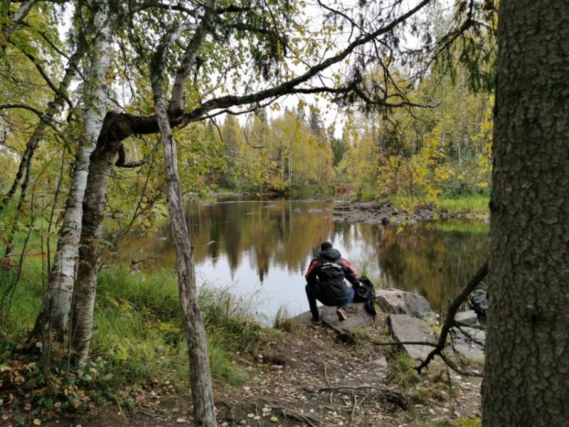Rovaniemi: Vaattunki Hiking Arctic Circle Trail - Highlights of the Experience