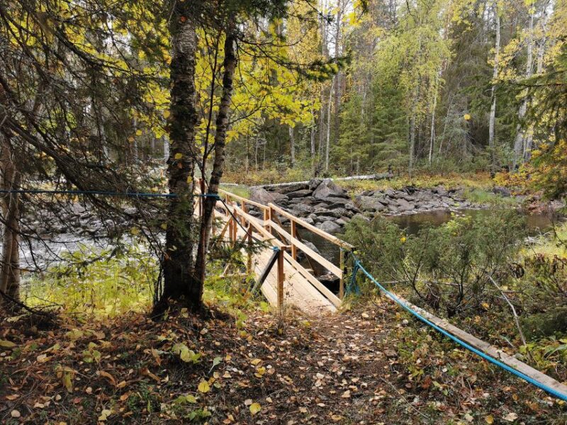 Rovaniemi: Vaattunki Hiking Arctic Circle Trail - Hiking Trails and Terrain