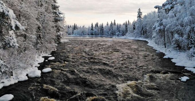 Rovaniemi: Vaattunki Hiking Arctic Circle Trail - Accessibility and Requirements