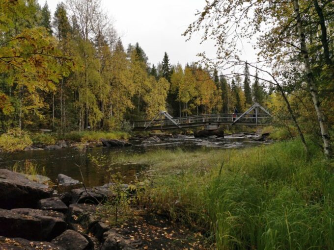 Rovaniemi: Vaattunki Hiking Arctic Circle Trail - Sum Up