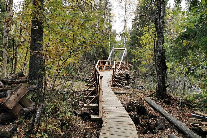 Rovaniemi: Vaattunkikönkä Nature Trail Hiking Tour - Key Points