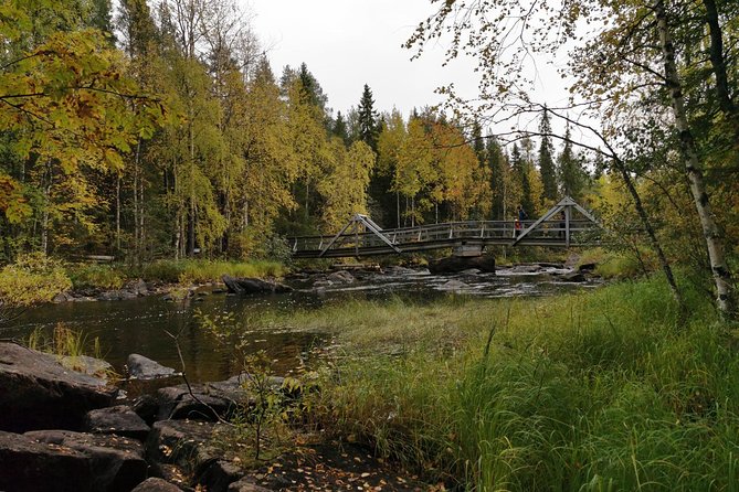 Rovaniemi: Vaattunkikönkä Nature Trail Hiking Tour - Experience and Reviews