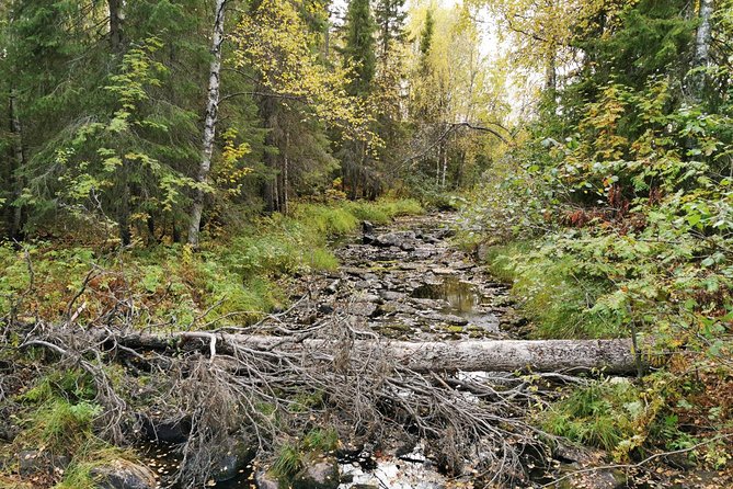 Rovaniemi: Vaattunkikönkä Nature Trail Hiking Tour - Frequently Asked Questions