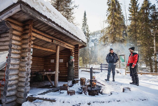 Rovaniemi - Visit to The Frozen Waterfalls of Korouoma - Diverse Wildlife in the Wilderness