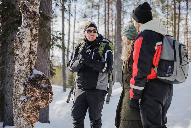 Rovaniemi - Visit to The Frozen Waterfalls of Korouoma - Guided Hike Along the Ice Trail