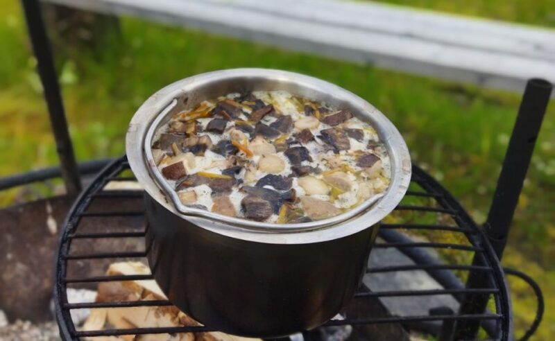 Rovaniemi: Wild Berries and Mushrooms Picking Tour - Tour Overview