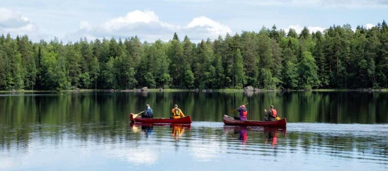 Rovaniemi: Wilderness Kayaking Adventure Trip With Hot Drink - Activity Overview