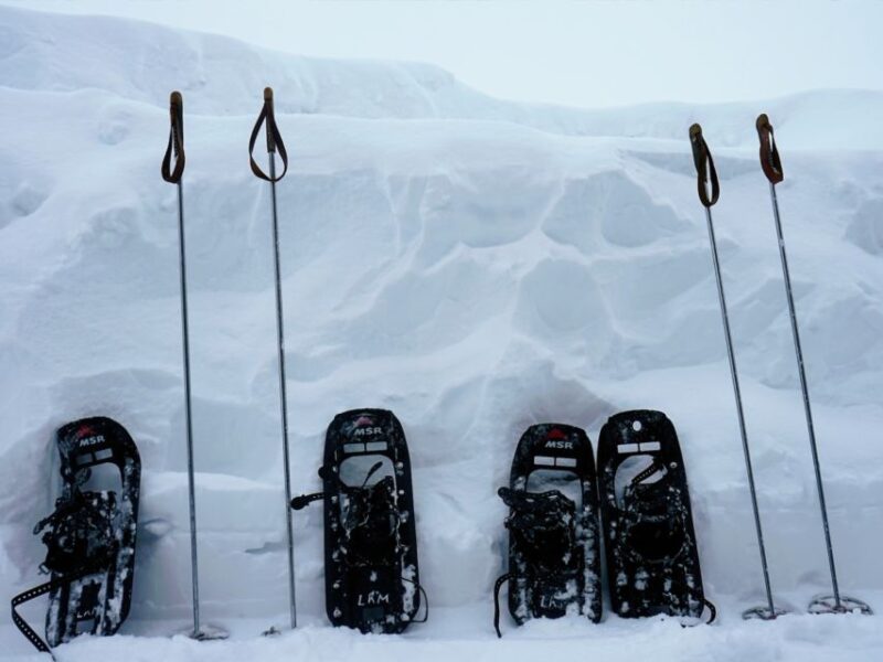Rovaniemi: Wilderness Snowshoes Expedition Tour & Barbeque - Customer Feedback