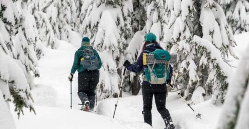 Rovaniemi: Wilderness Snowshoes Expedition Tour & Barbeque - Sum Up