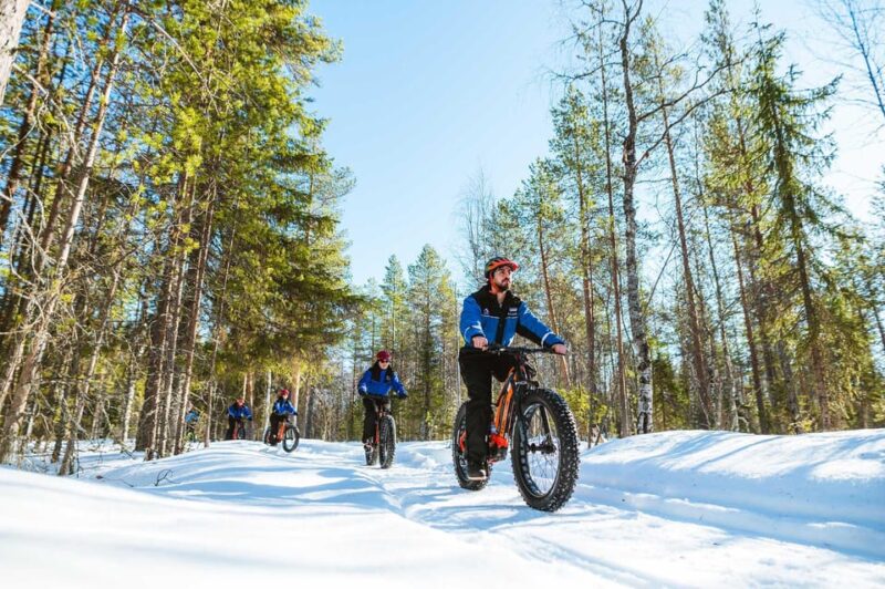 Rovaniemi: Winter Efatbike Tour in Snowy Forest - Good To Know