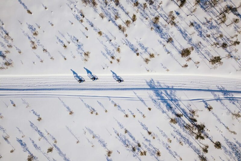 Rovaniemi: Winter Efatbike Tour in Snowy Forest - Activity Expectations