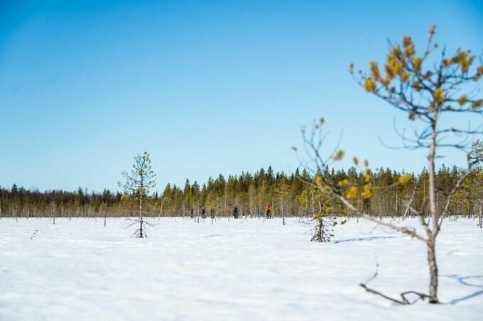 Rovaniemi: Winter Efatbike Tour in Snowy Forest - Weather Considerations