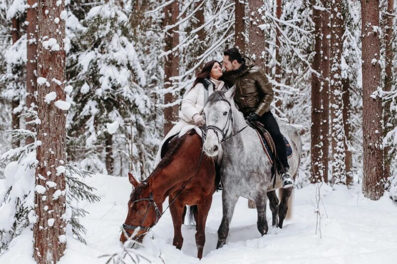 Rovaniemi: Winter Horse Riding in Arctic Nature - Group Size and Language
