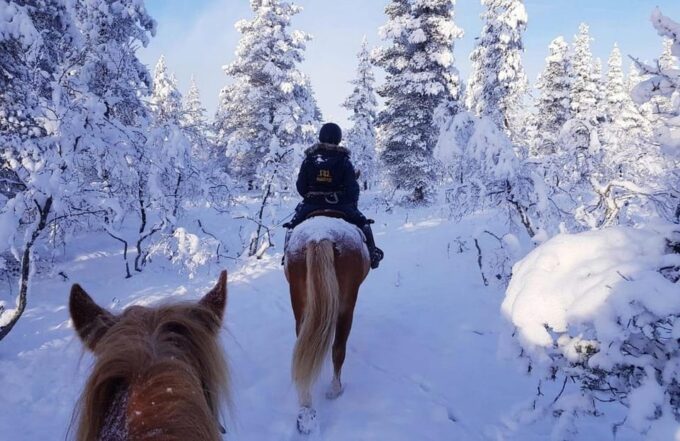 Rovaniemi: Winter Horse Riding in Arctic Nature - Safety and Equipment