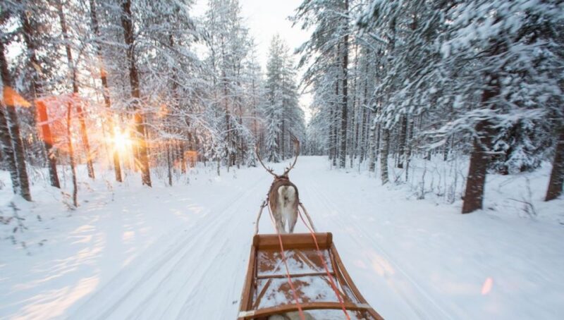 Rovaniemi: Winter Snowshoeing, Reindeer & Husky Sleigh Ride - Inclusions